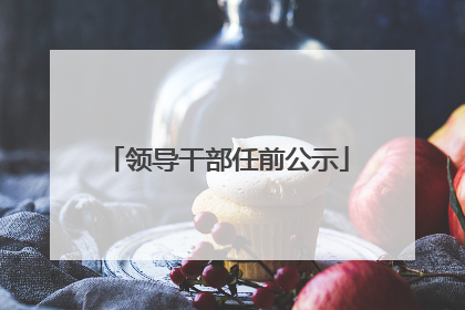 领导干部任前公示