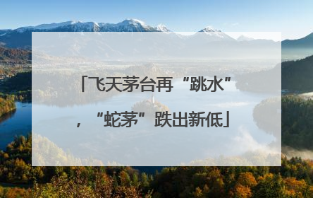 飞天茅台再“跳水”，“蛇茅”跌出新低