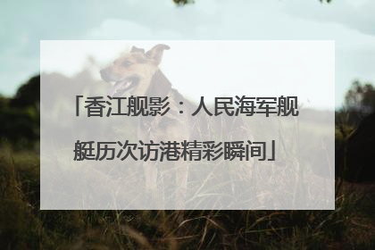 香江舰影：人民海军舰艇历次访港精彩瞬间