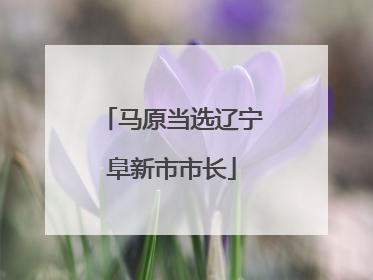 马原当选辽宁阜新市市长
