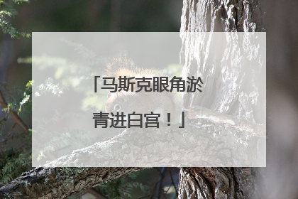 马斯克眼角淤青进白宫！