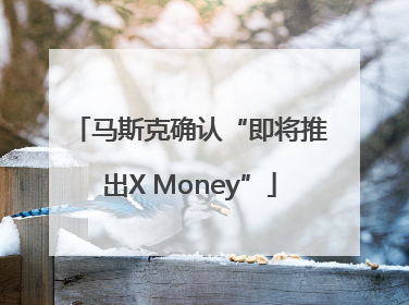 马斯克确认“即将推出X Money”