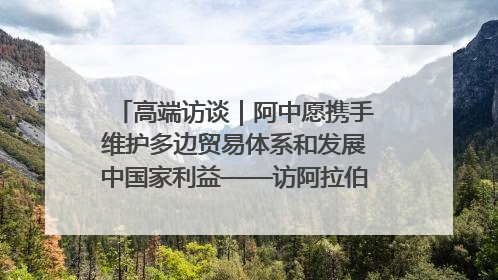 高端访谈｜阿中愿携手维护多边贸易体系和发展中国家利益——访阿拉伯议会议长亚马希