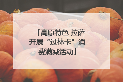 高原特色 拉萨开展“过林卡”消费满减活动