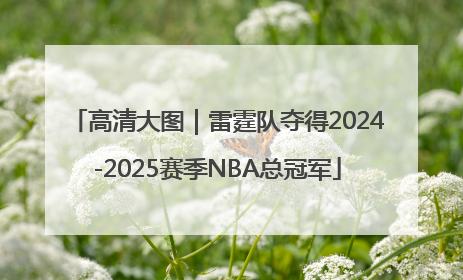 高清大图｜雷霆队夺得2024-2025赛季NBA总冠军