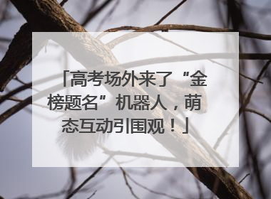 高考场外来了“金榜题名”机器人，萌态互动引围观！