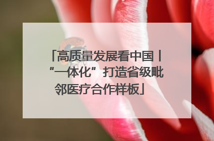高质量发展看中国丨“一体化”打造省级毗邻医疗合作样板