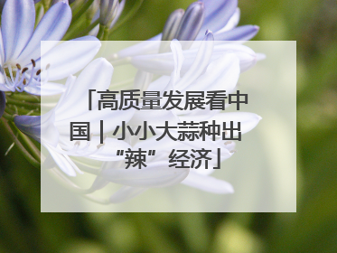 高质量发展看中国｜小小大蒜种出“辣”经济