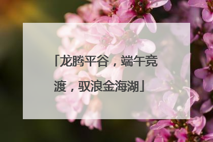 龙腾平谷，端午竞渡，驭浪金海湖
