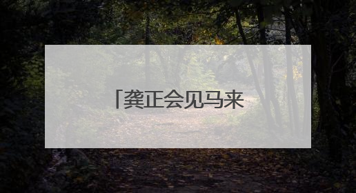 龚正会见马来西亚沙捞越州副总理沈桂贤