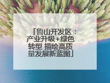 鲁山开发区：产业升级+绿色转型 描绘高质量发展新蓝图