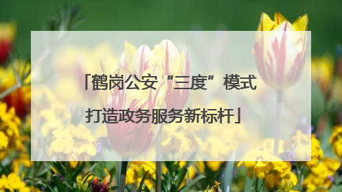 鹤岗公安“三度”模式 打造政务服务新标杆