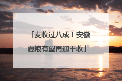 麦收过八成！安徽夏粮有望再迎丰收