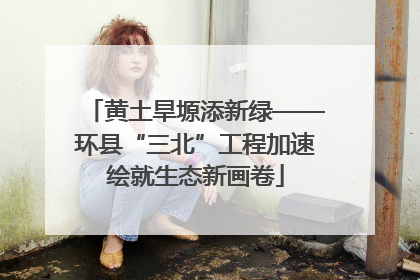 黄土旱塬添新绿——环县“三北”工程加速绘就生态新画卷