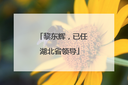 黎东辉，已任湖北省领导