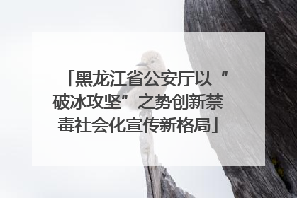 黑龙江省公安厅以“破冰攻坚”之势创新禁毒社会化宣传新格局