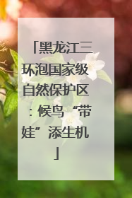 黑龙江三环泡国家级自然保护区：候鸟“带娃”添生机