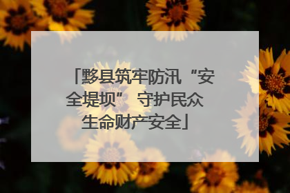 黟县筑牢防汛“安全堤坝” 守护民众生命财产安全