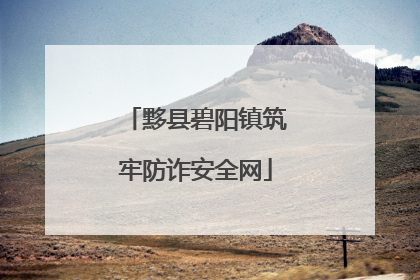 黟县碧阳镇筑牢防诈安全网