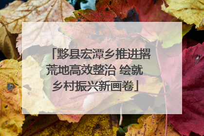 黟县宏潭乡推进撂荒地高效整治 绘就乡村振兴新画卷