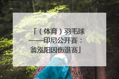 （体育）羽毛球——印尼公开赛：翁泓阳因伤退赛