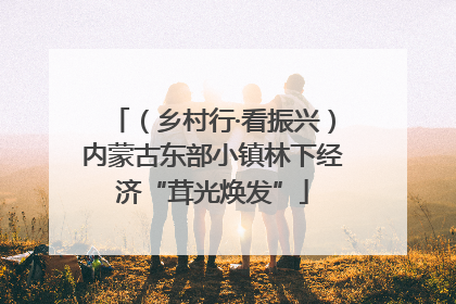 （乡村行·看振兴）内蒙古东部小镇林下经济“茸光焕发”