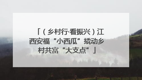 （乡村行·看振兴）江西安福“小西瓜”撬动乡村共富“大支点”
