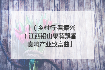（乡村行·看振兴）江西铅山果蔬飘香 奏响产业致富曲