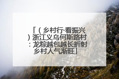 （乡村行·看振兴）浙江义乌何斯路村：龙粽越包越长折射乡村人气渐旺