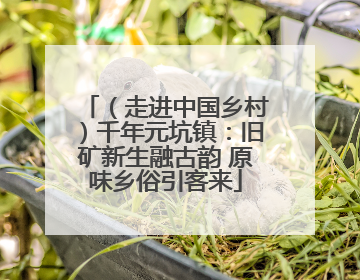 （走进中国乡村）千年元坑镇：旧矿新生融古韵 原味乡俗引客来