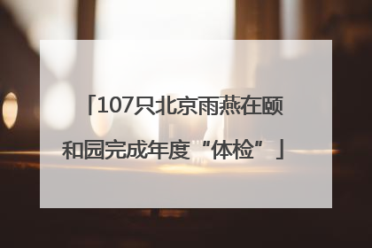 107只北京雨燕在颐和园完成年度“体检”