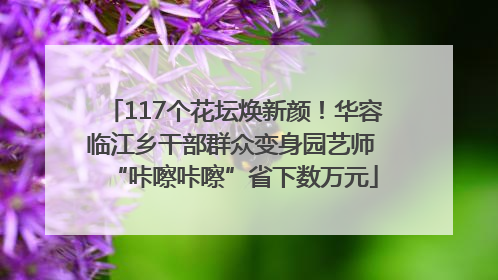 117个花坛焕新颜！华容临江乡干部群众变身园艺师 “咔嚓咔嚓”省下数万元
