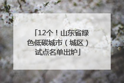 12个！山东省绿色低碳城市（城区）试点名单出炉
