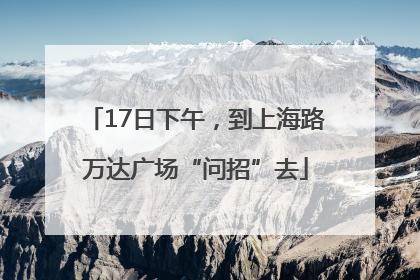 17日下午，到上海路万达广场“问招”去