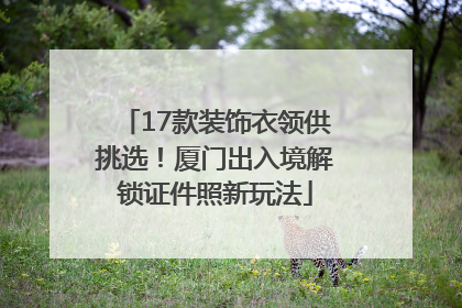 17款装饰衣领供挑选！厦门出入境解锁证件照新玩法