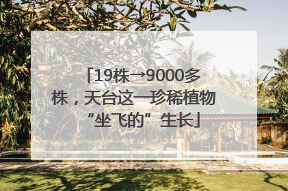 19株→9000多株，天台这一珍稀植物“坐飞的”生长