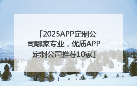 2025APP定制公司哪家专业，优质APP定制公司推荐10家