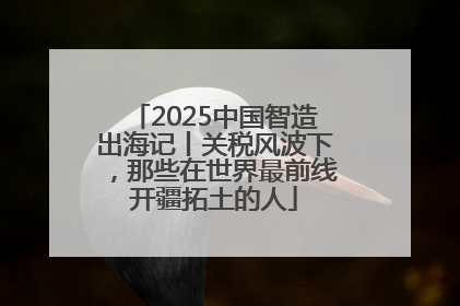 2025中国智造出海记丨关税风波下，那些在世界最前线开疆拓土的人