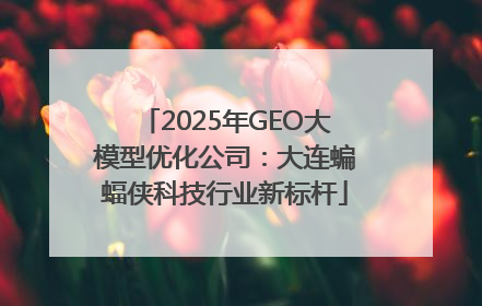 2025年GEO大模型优化公司：大连蝙蝠侠科技行业新标杆