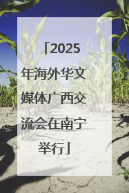 2025年海外华文媒体广西交流会在南宁举行