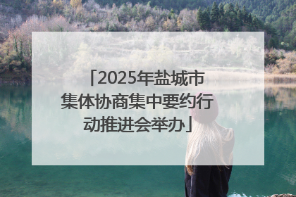 2025年盐城市集体协商集中要约行动推进会举办