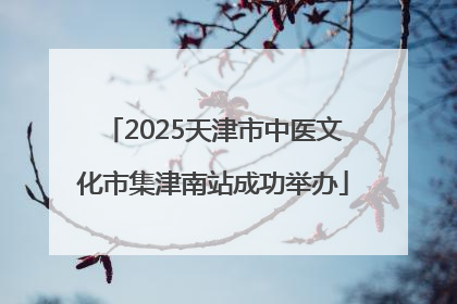 2025天津市中医文化市集津南站成功举办