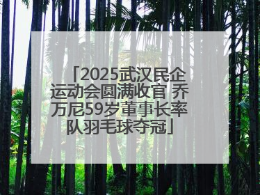 2025武汉民企运动会圆满收官 乔万尼59岁董事长率队羽毛球夺冠
