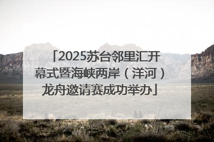 2025苏台邻里汇开幕式暨海峡两岸（洋河）龙舟邀请赛成功举办