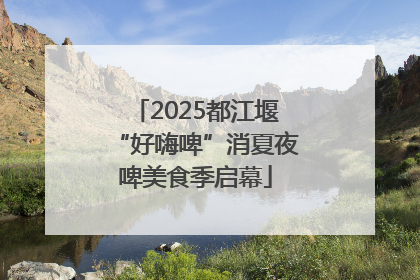 2025都江堰“好嗨啤”消夏夜啤美食季启幕