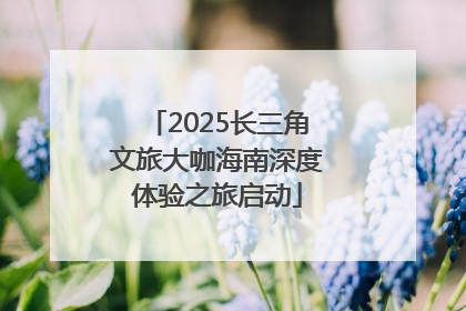 2025长三角文旅大咖海南深度体验之旅启动