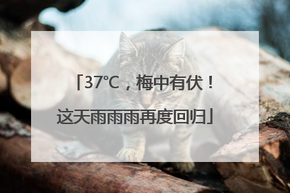 37℃，梅中有伏！这天雨雨雨再度回归