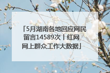 5月湖南各地回应网民留言14589次丨红网网上群众工作大数据