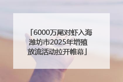 6000万尾对虾入海 潍坊市2025年增殖放流活动拉开帷幕