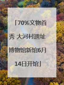 70%文物首秀 大河村遗址博物馆新馆6月14日开馆